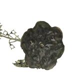 Grand cendrier tournesol en bronze argenté S. Agudo 62 cm