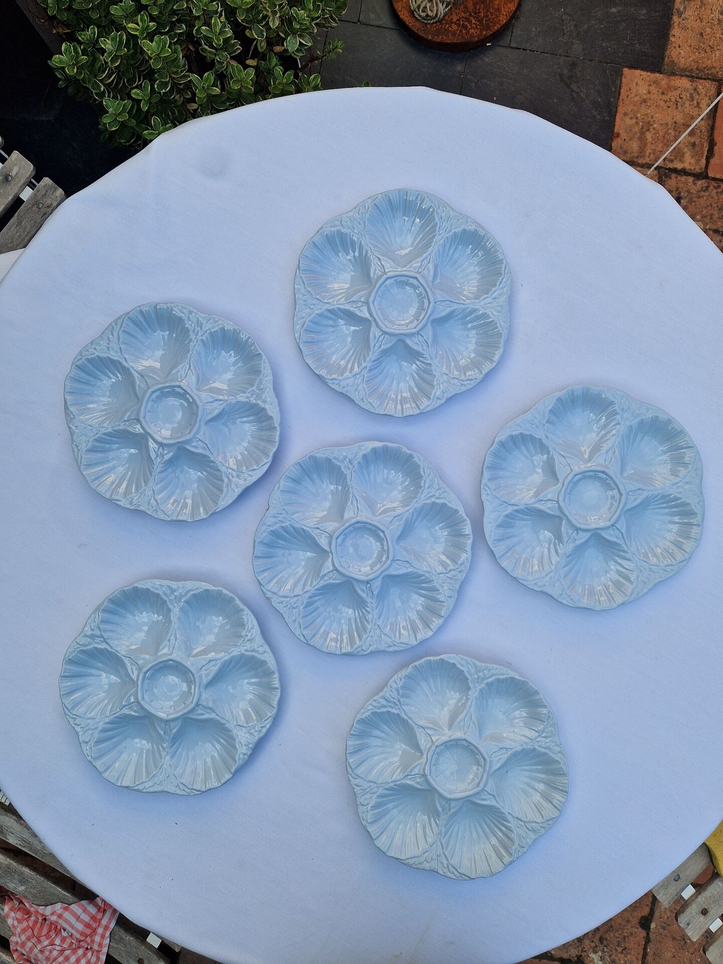 Set of 6 shell plates