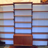 Danish modular library furniture by Poul Cadovius from the 60s