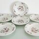 Lot de 6 assiettes creuses "oiseau de paradis " Sarreguemines