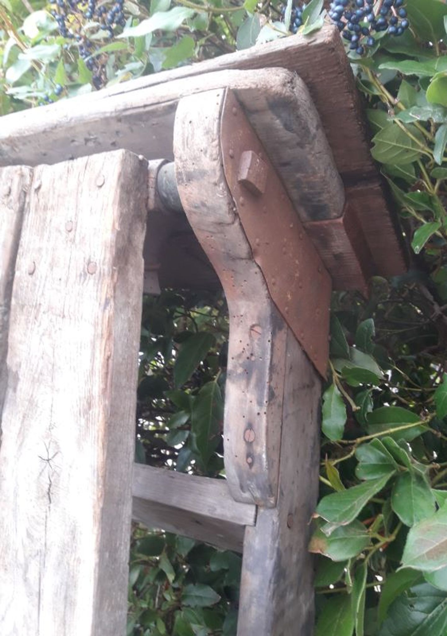 Artisan wooden ladder 6 steps