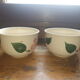Villeroy & Boch cup duo "Wild rose"