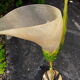 Vintage flower lamp