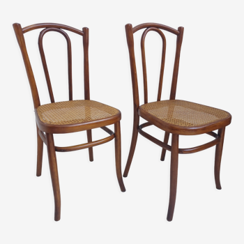 Chairs, Fischel