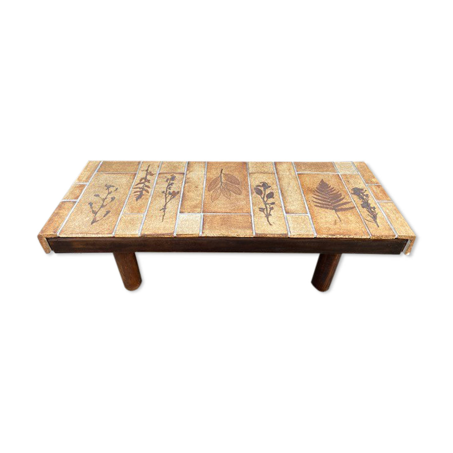 Roger Capron's "herbarium" table of the 60s/70s