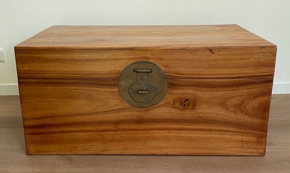 Chinese chest in camphor tree