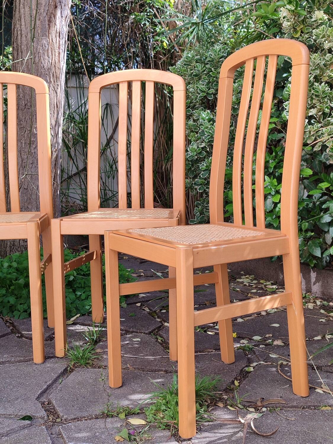 Chaises en bois et cannage