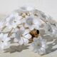 Audrey Hepburn, Delicious Murano Glass Ceiling Light White Wall Light Flowe
