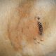 Série de quatre chaises bistrot