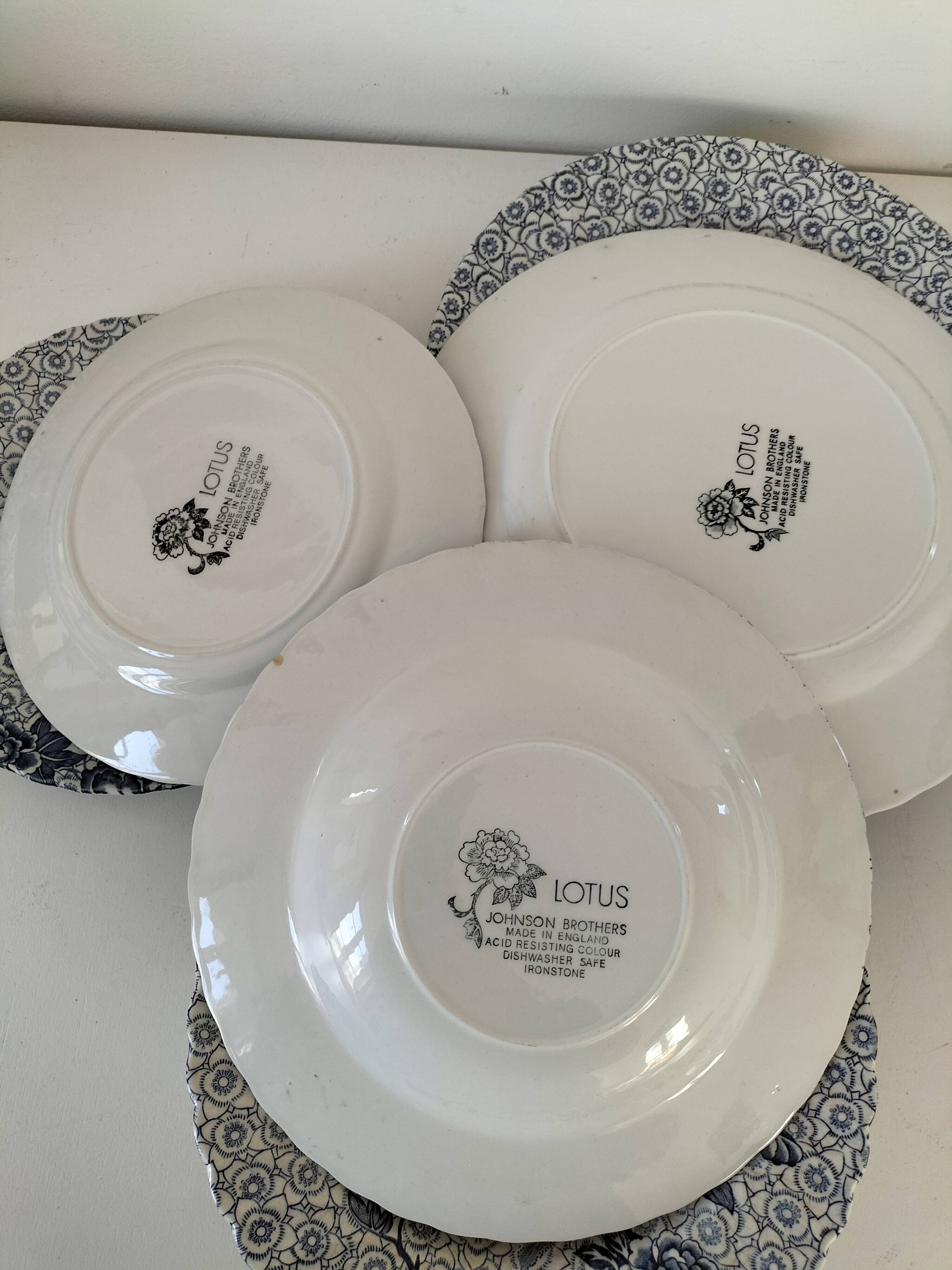 9 Johnson Brothers plates in the Lotus pattern.