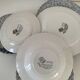 9 Johnson Brothers plates in the Lotus pattern.
