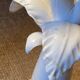Pair of Jean Roger ceramic palm lamps