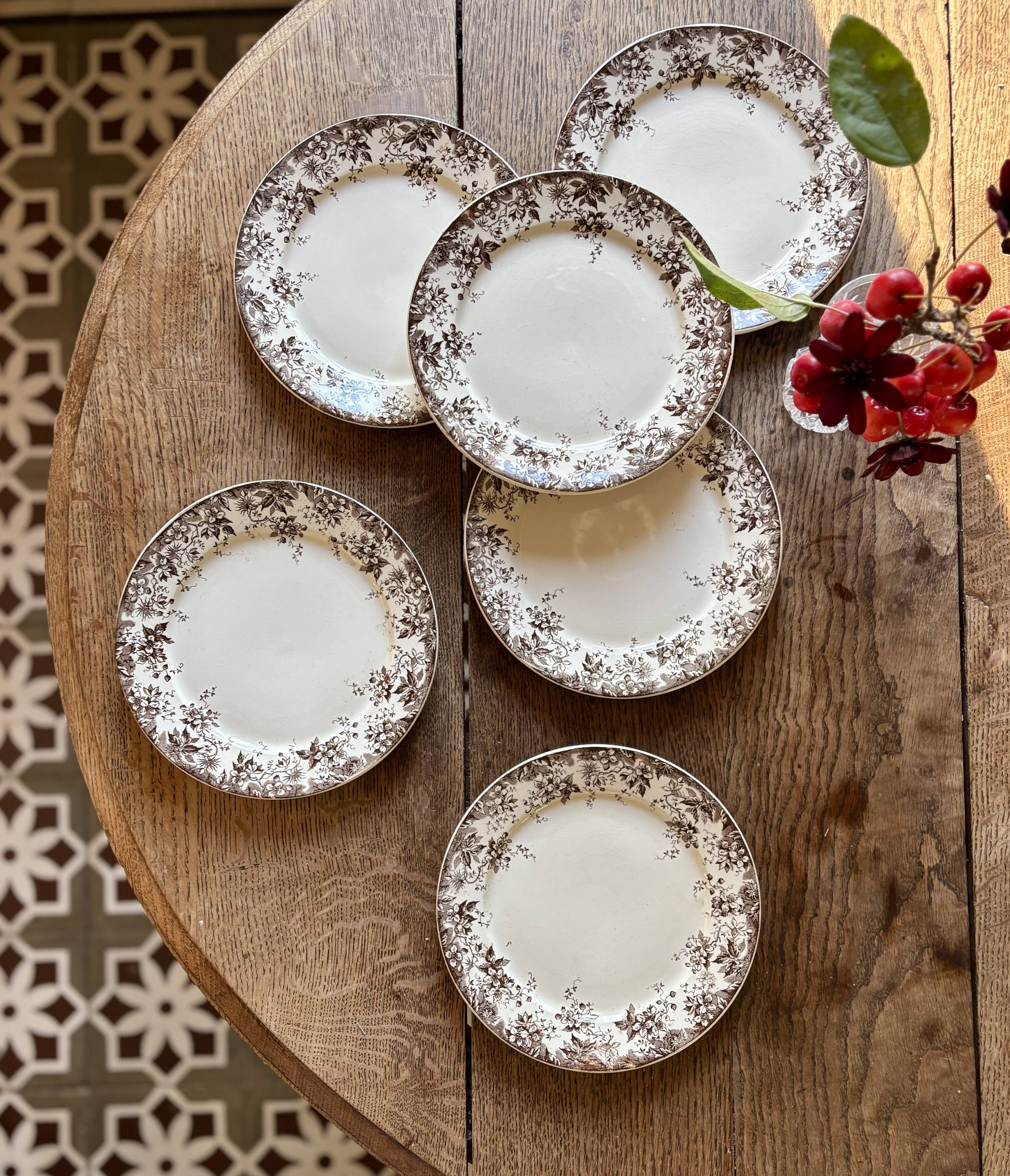 Lot de 6 assiettes à dessert anciennes en terre de fer modèle Alphand de Sa