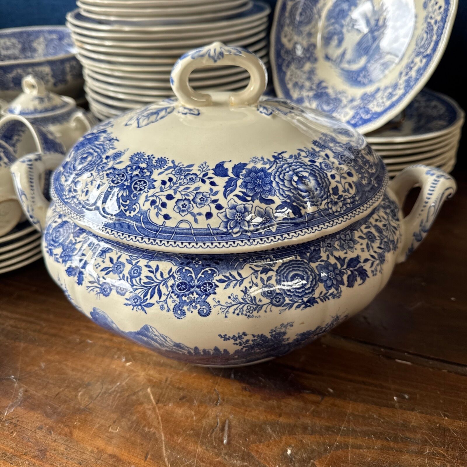 Service 51p. in earthenware Villeroy & Boch – model SAAR Burgenland