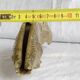 Vintage letter holder "Modello Depositato" 60s/70s