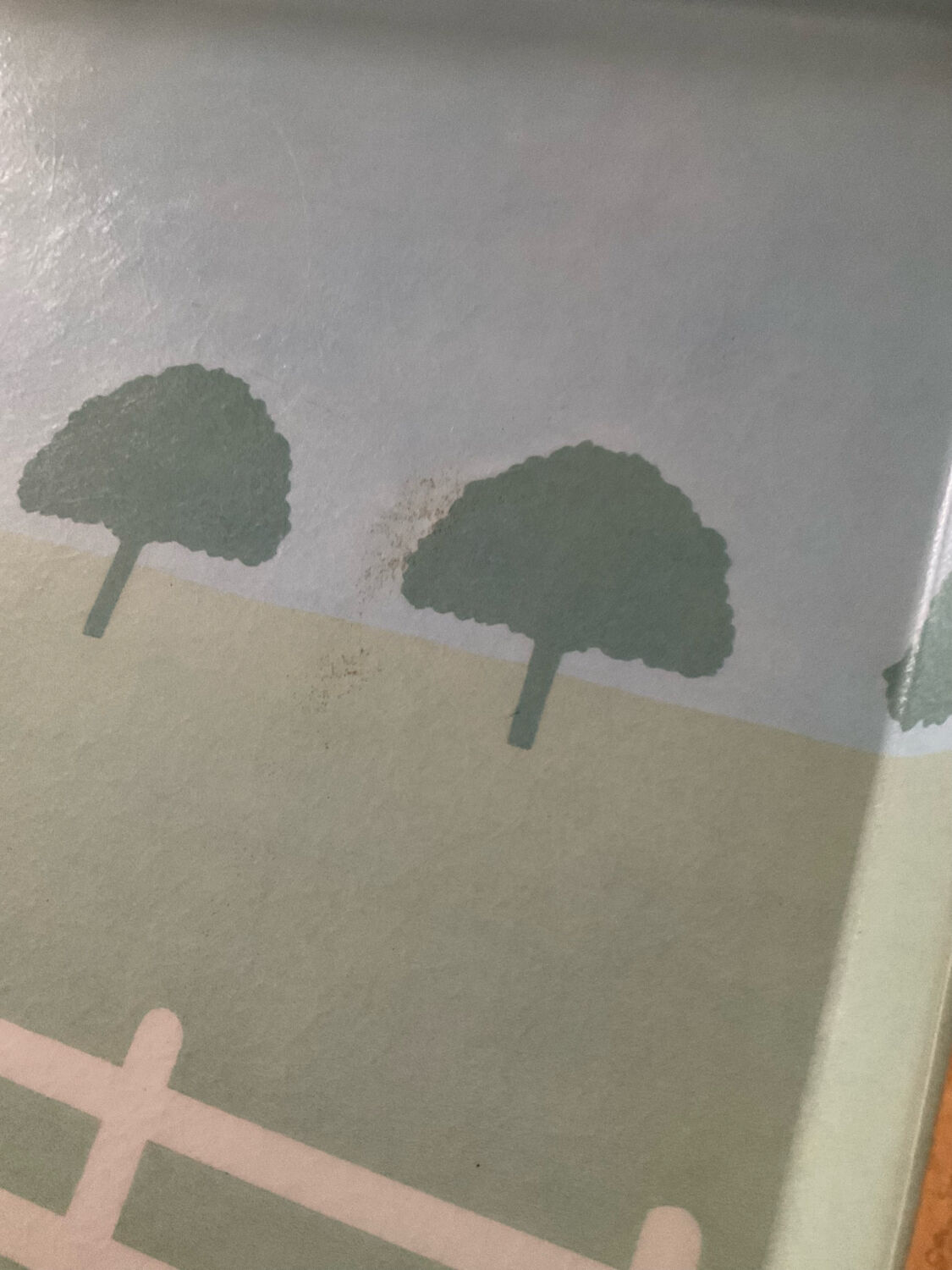 Vintage alpac tray in fiberglass and rattan