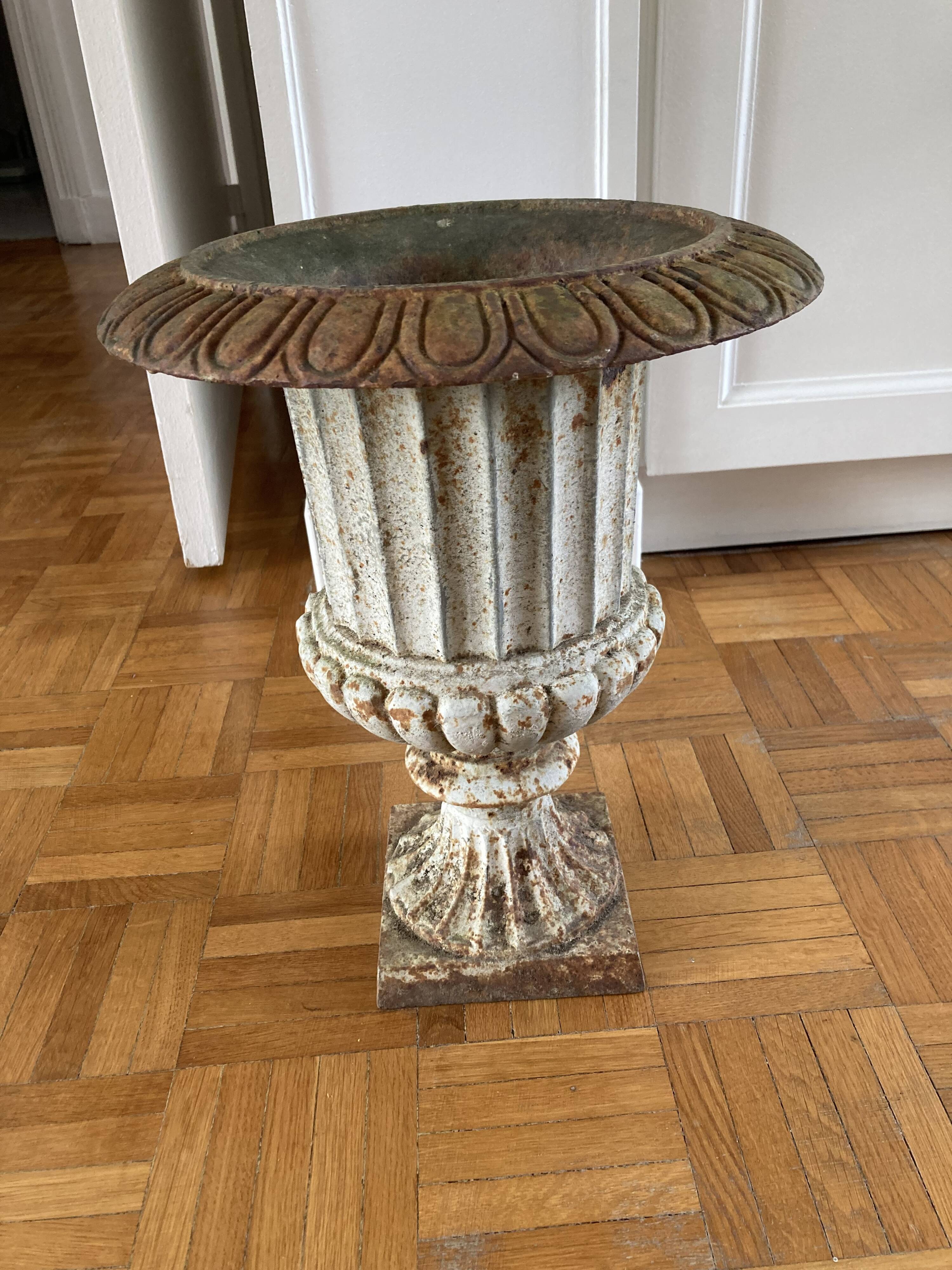 Cast iron Medici vase.
