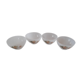 4 Bowls Roses of France Arcopal pink flowers