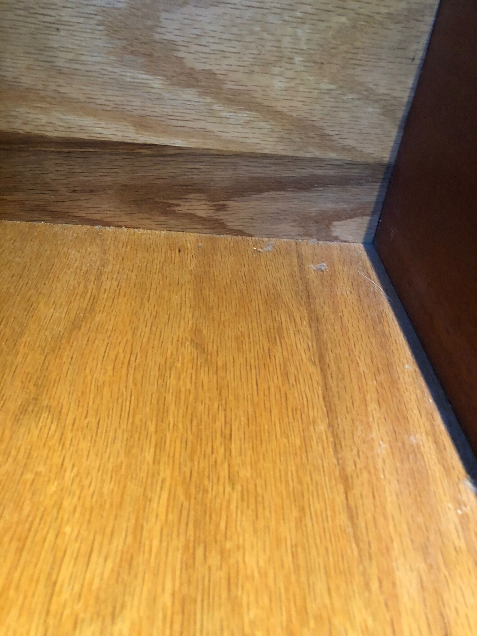 Commode en contreplaqué par Harvey Probber, 1960s