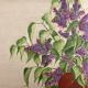 Watercolor bouquet lilac vintage