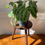Tabouret tripode en bois