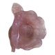 Empty pocket in rose quartz