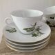 Vintage porcelain herbarium service 6 cups with plates
