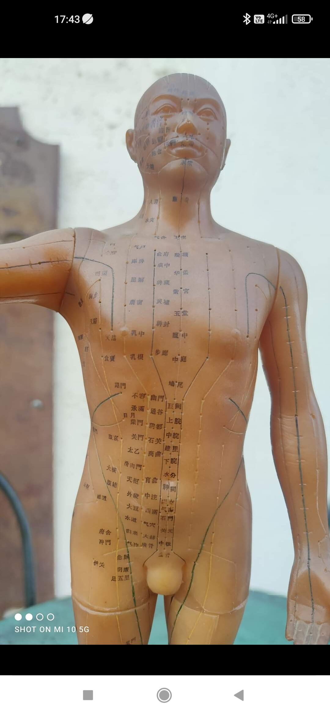 Acupuncture mannequin circa 1960