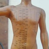 Acupuncture mannequin circa 1960