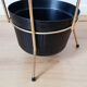 Umbrella holder or canes