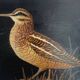 Peinture sur bois oiseaux