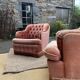Living room 3 pieces velvet toad