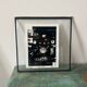 Analog photography