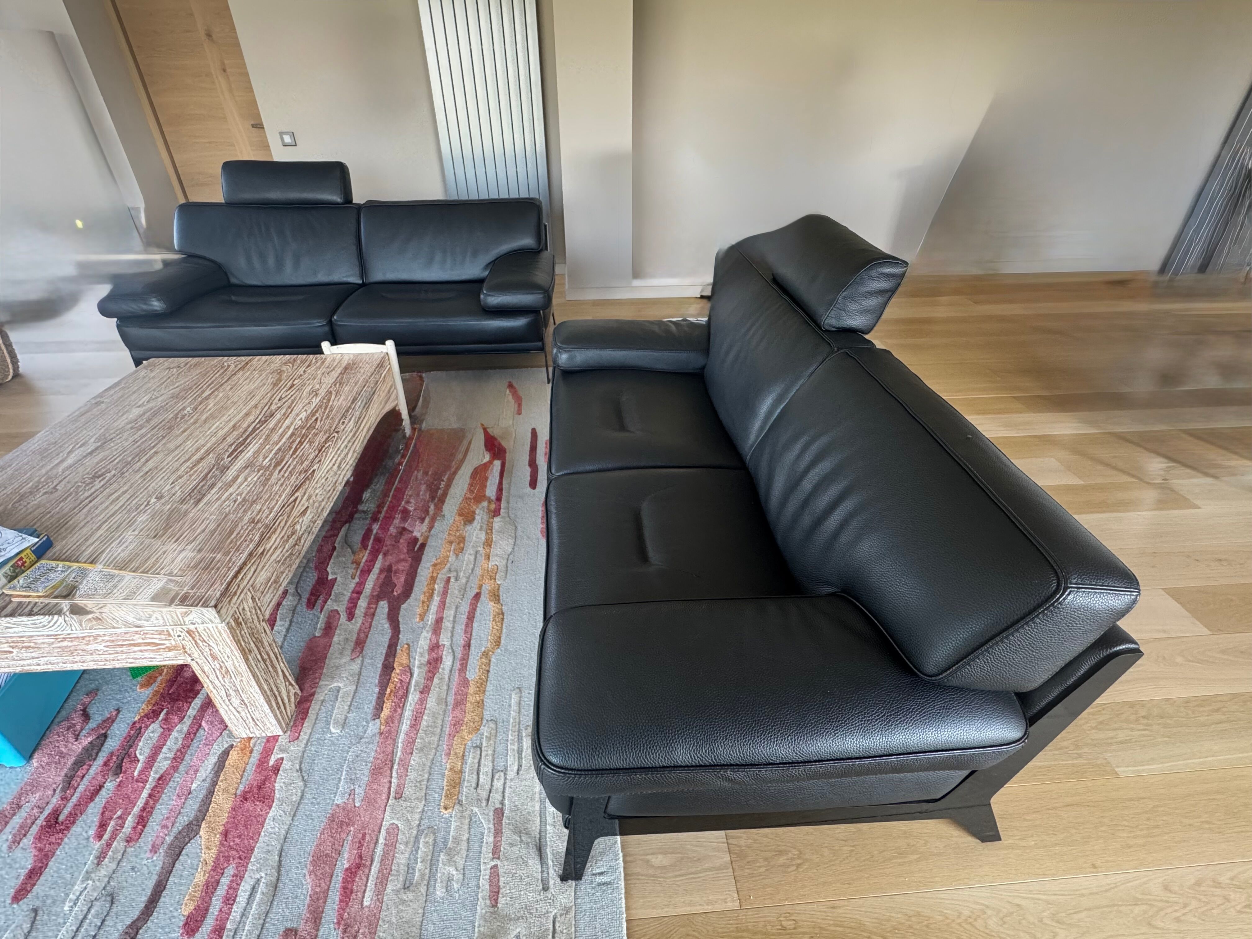 Leather canapés Roche Bobois