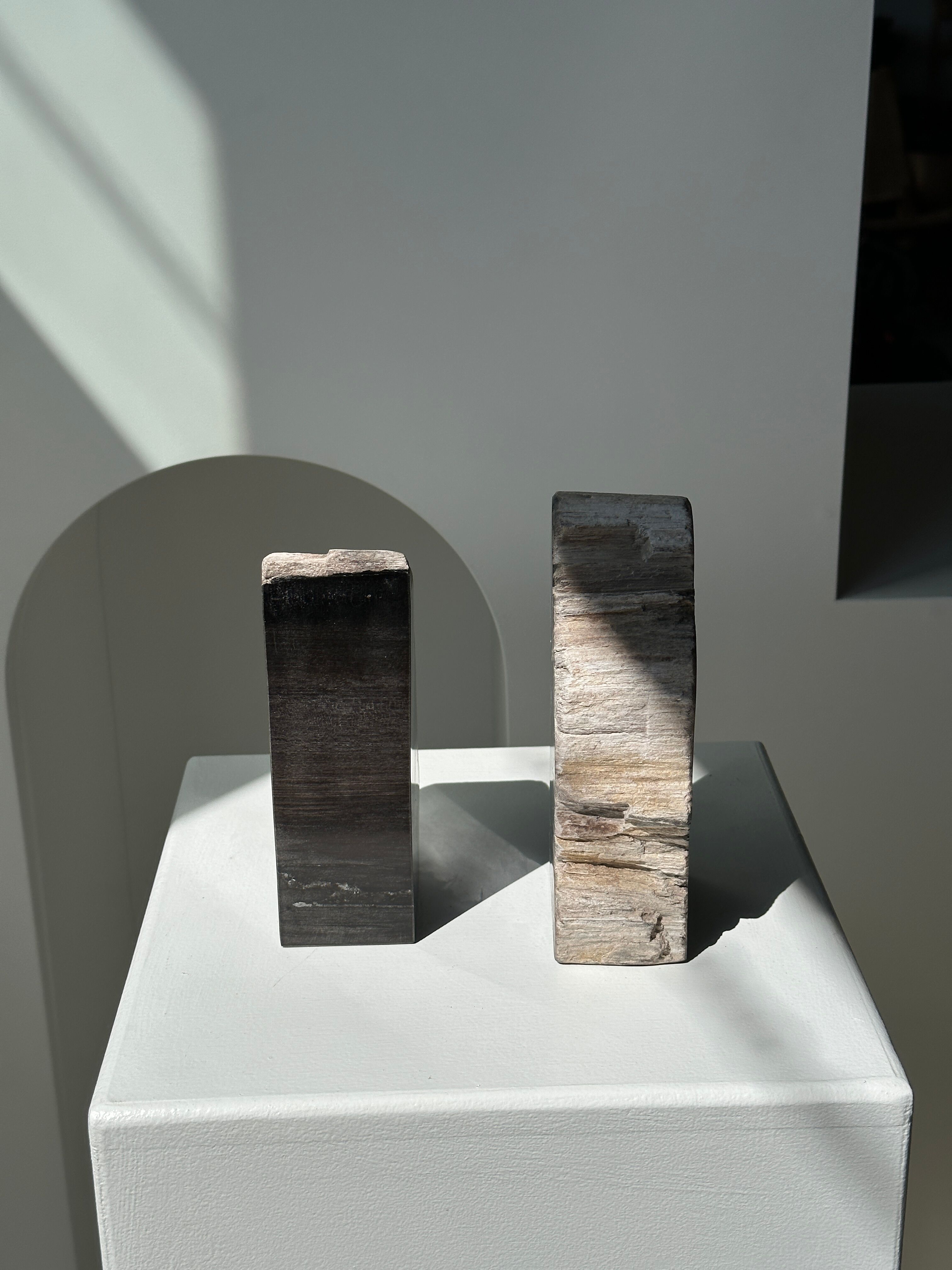 Black petrified wood bookend H17 L17 P6
