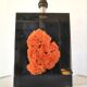 Resin lamp inclusion coral red design 70s