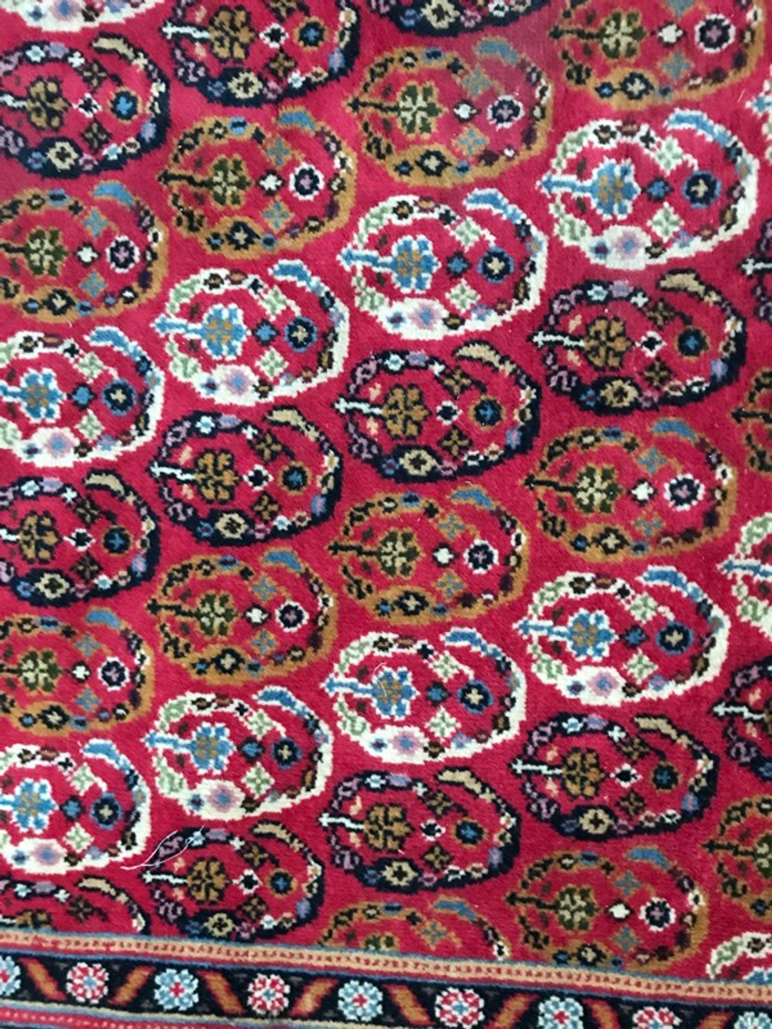 Carpet  Transylvania  170 x 268 cm