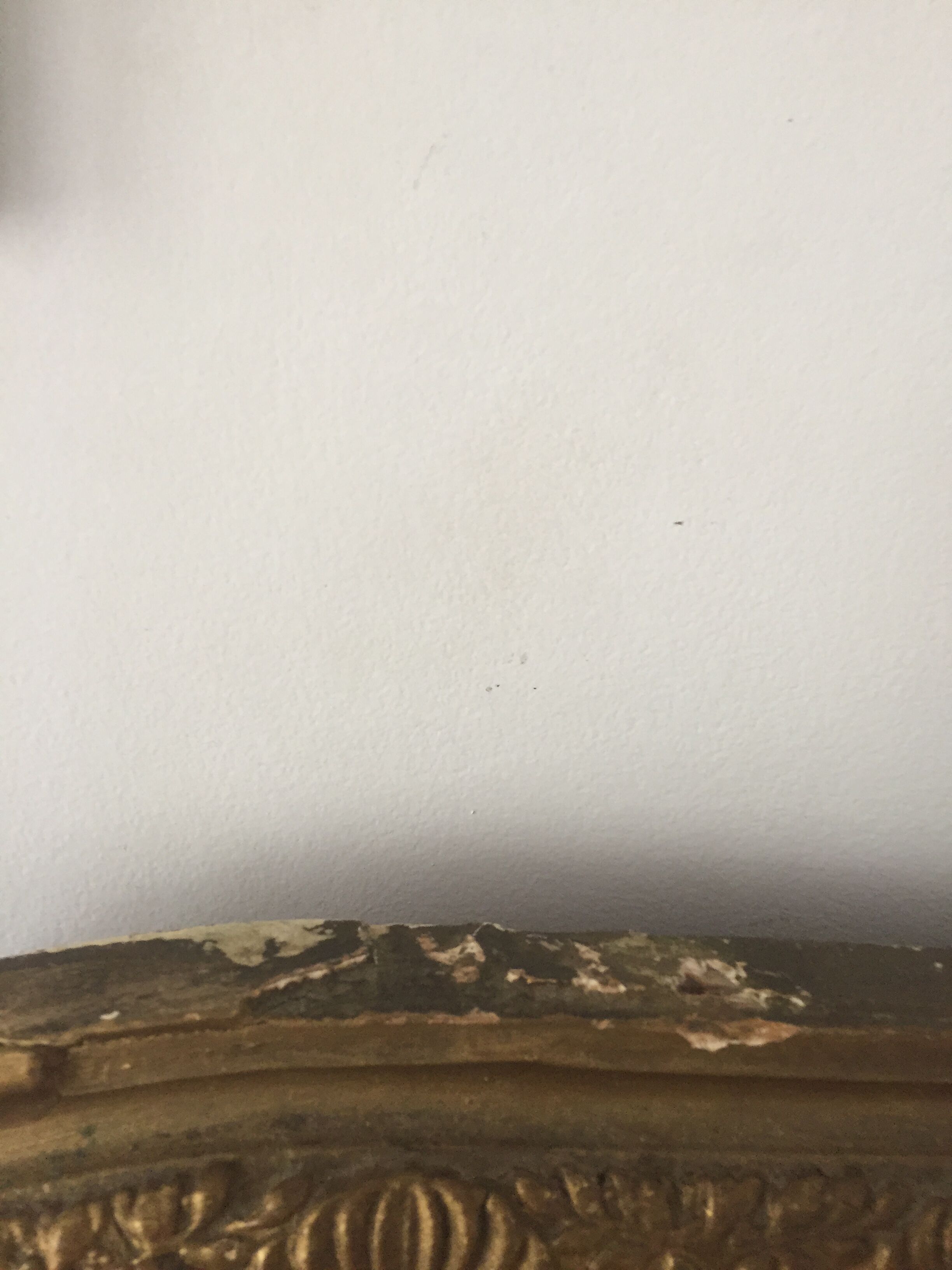 Mirror Louis Philippe 98x138cm