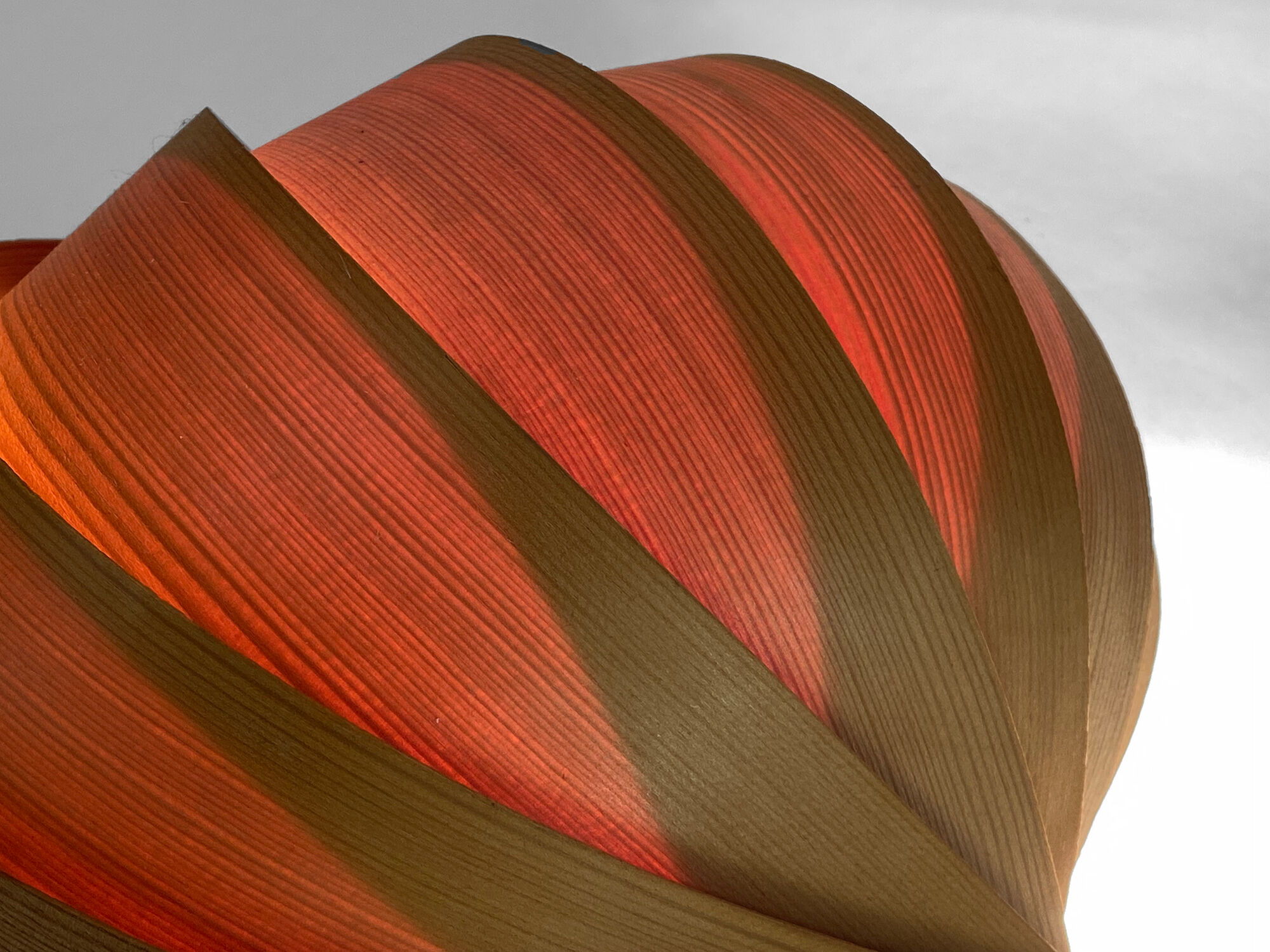 Pine veneer wall lamp/visor light by Translandia. Denmark 1960s