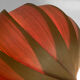Pine veneer wall lamp/visor light by Translandia. Denmark 1960s