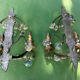 Pair of Art Nouveau / Art Deco Border Period Wall Lights 1920