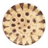 Beige round bowl with dots