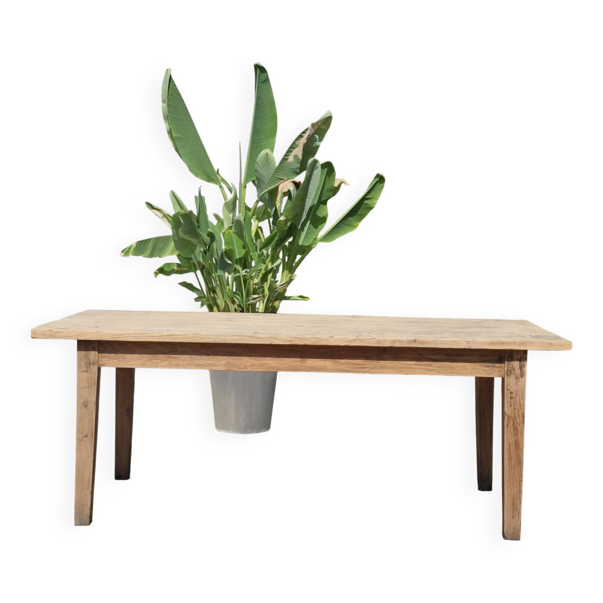 Table de ferme et ses 2 bancs