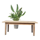 Table de ferme et ses 2 bancs
