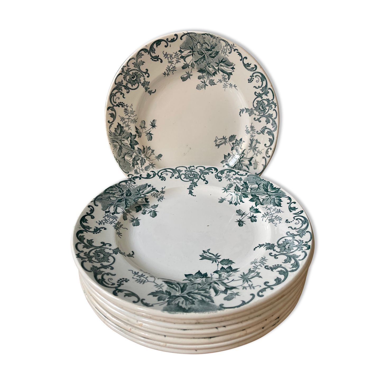 Lot de 9 assiettes plates Terre de Fer modèle « Campanule » St Amand et Hamage