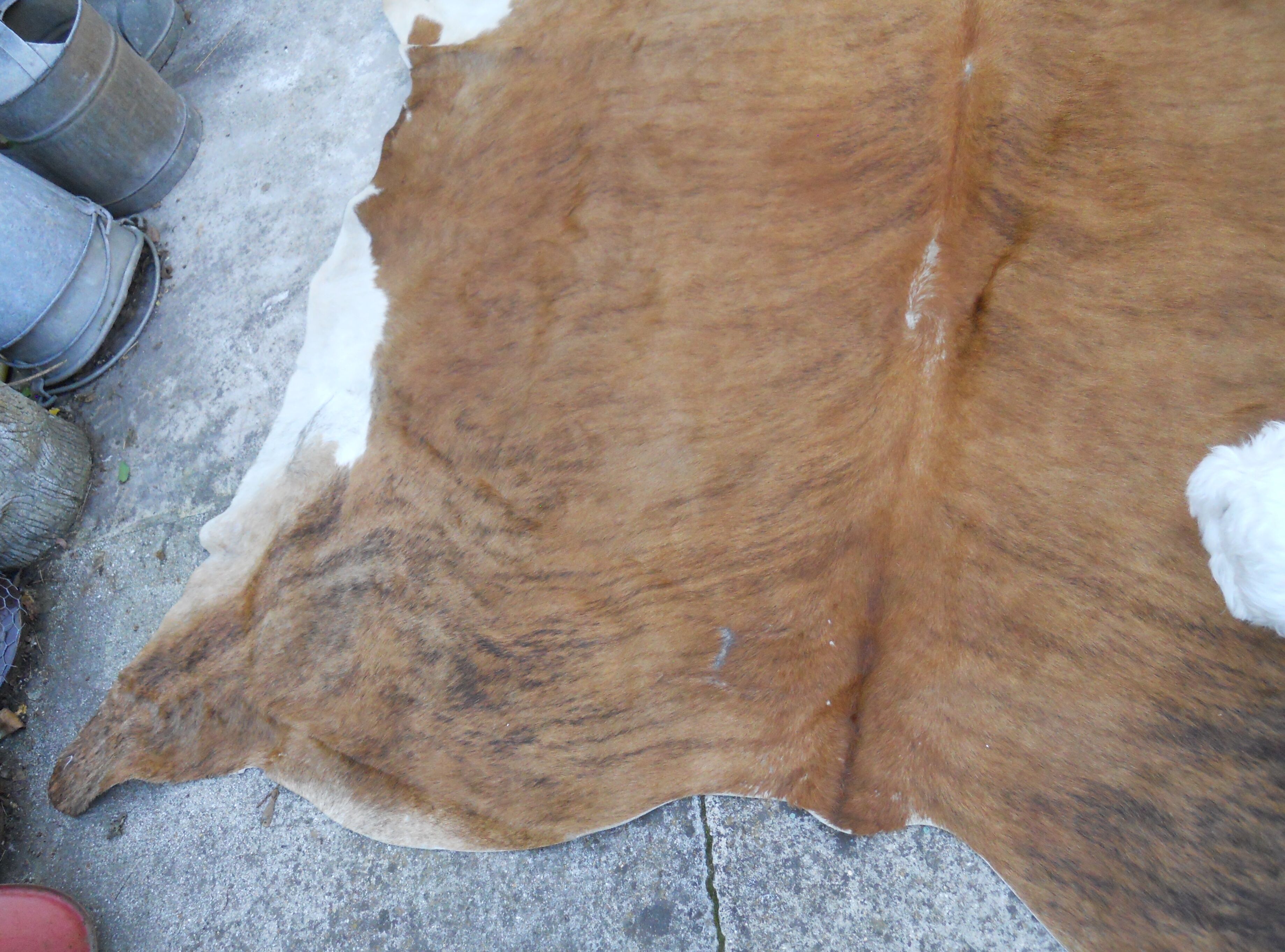 Cowhide