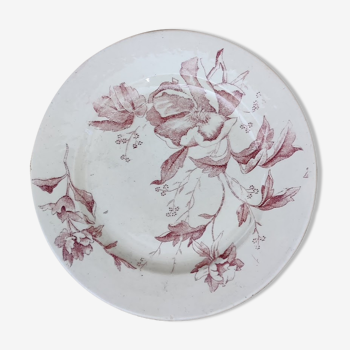 Flat plate iron earth / Christmas rose