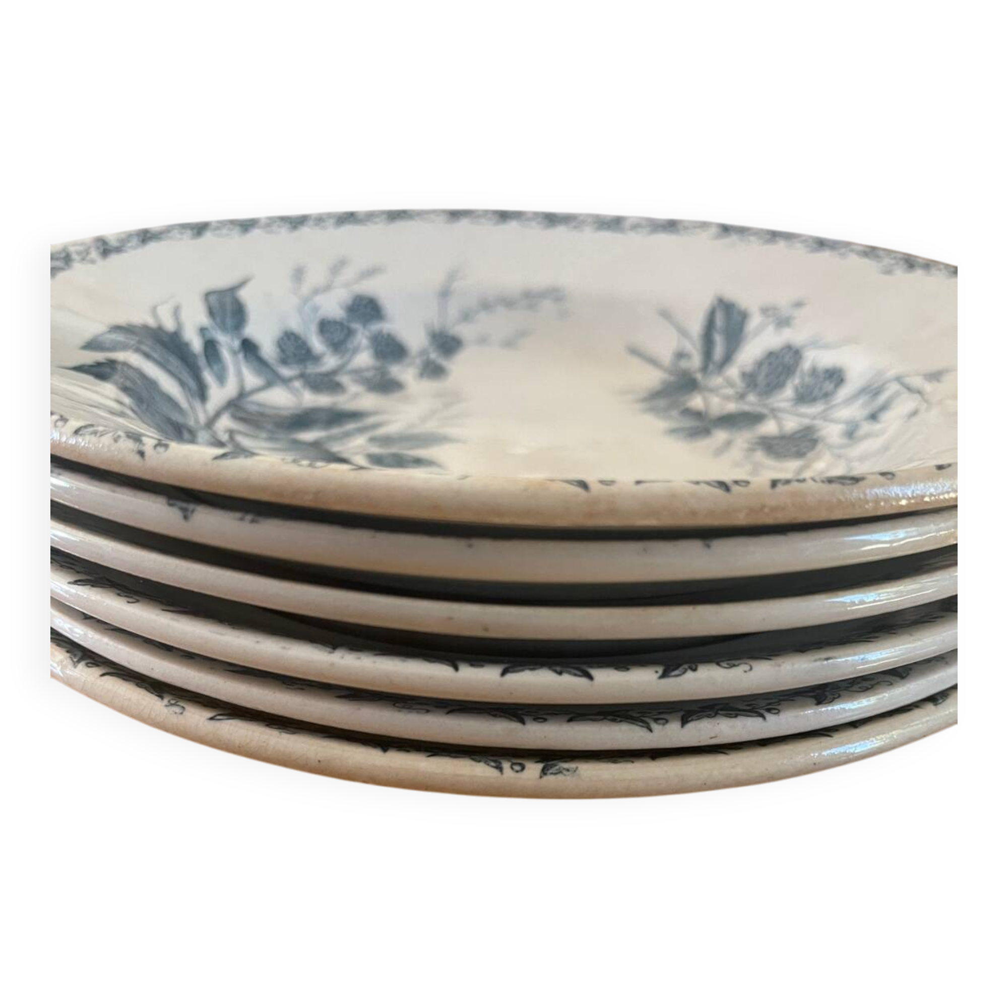 6 Badonviller blackberry model plates