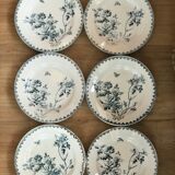 Old plates
