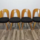 Dining Chairs by Antonin Suman, 1960s, Set of 4